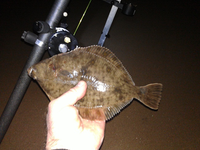 flattie-2.jpg
